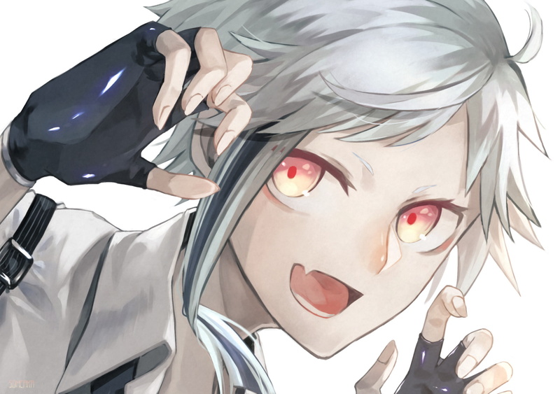 Anime, Atsushi Nakajima, Bungou Stray Dogs, 1080P