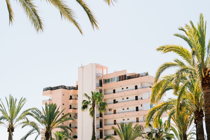 plant, date palm tree, no people, resort, travel destinations, concrete, leaf, barrier, pink, art deco, palm, nature, day, city, fence, building exterior