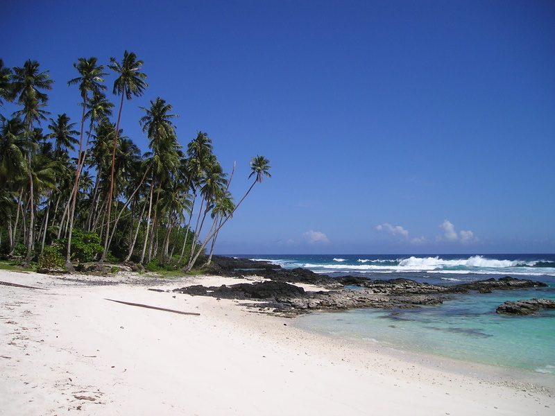 plant, south sea, sea, beauty in nature, water, south seas island, scenics - nature, nature, beach, atoll, clear sky, sand beach, no people, tropical tree