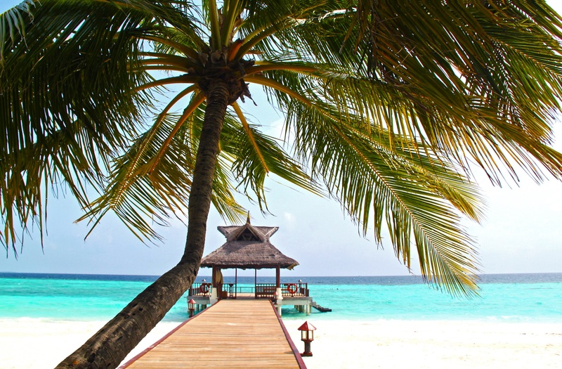 unique, no people, tourism, nature, footbridge, tropical, white sand, tourist Resort, vacation, palm, horizon, scenics - nature, beach, near, swimming pool