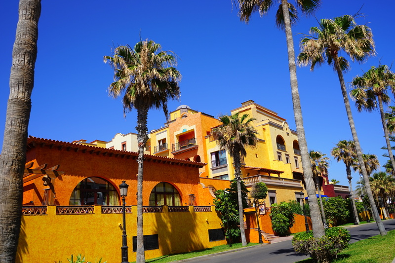 building, europe villa cortes hotel, clear sky, travel destinations, day, building exterior, canary islands, europe villa cortes, nobel, sky, palm Tree