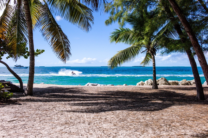 island, resort, sand, shore, near, destination, ocean, holiday, seascape, travel, beach, tree, holidays, coast, body, paradise, coconut palm tree, tourism
