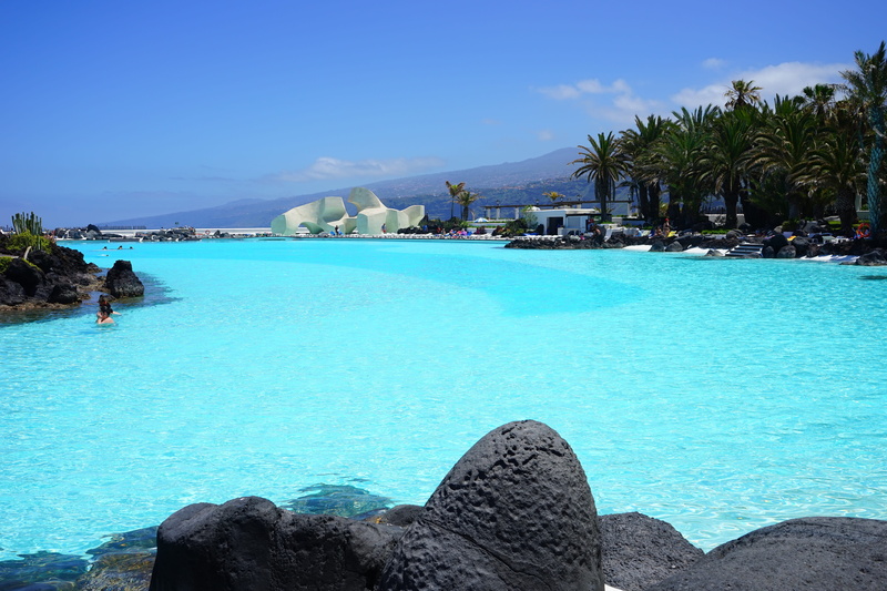 nature, tree, idyllic, day, rock formation, scenics - nature, beauty in nature, turquoise Colored, blue, sea water swimming pool, landscape, plant, island
