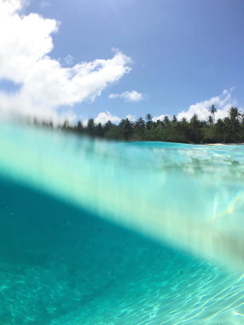 island, waterfront, tropical, beach, pool, beauty in nature, woodland, resort, scenics - nature, tree, clean, near, plant, turquoise colored, swimming pool
