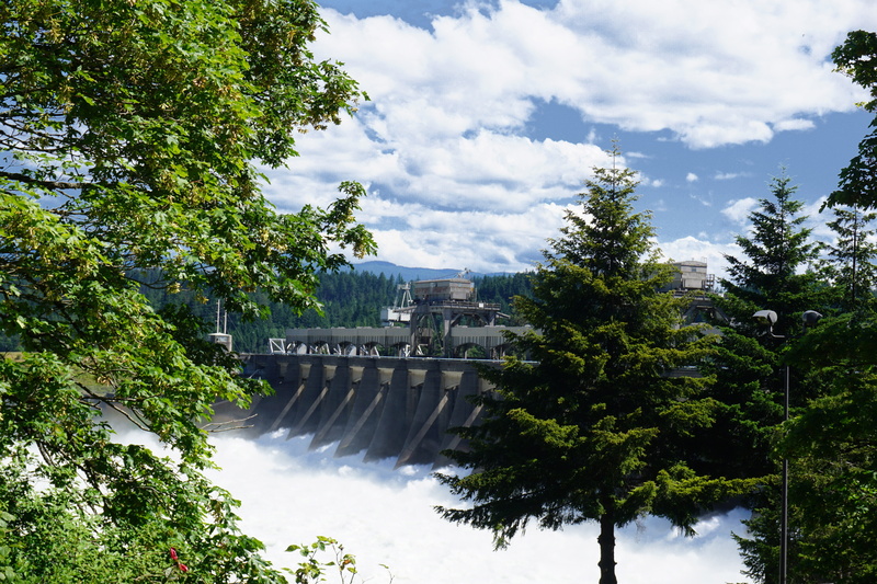 outdoors, landscape, connection, building exterior, green color, columbia, built structure, tree, beauty in nature, plant, hydro electric, nature, pacific nw