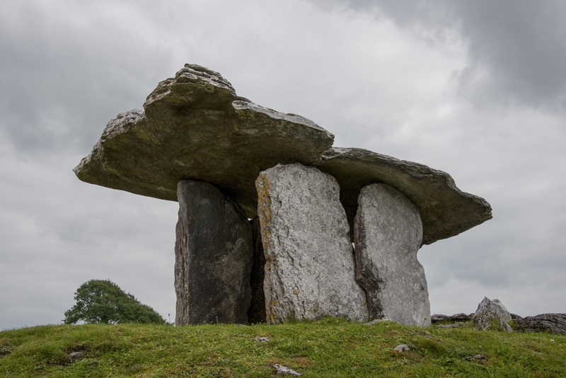 rock, plant, cloud - sky, history, archaeology, no people, solid, Poulnabrone, ireland, tranquility, the past, Grave, formation, day, Portal, outdoors
