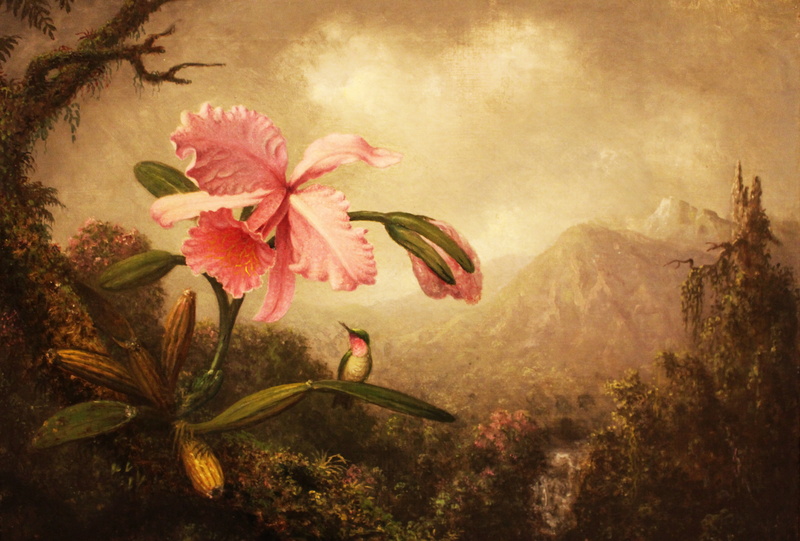 pink color, beauty in nature, bloom, growth, freshness, flowers, black, lily, autumn, textured, leaf, the framework, flower, expressionist, botany