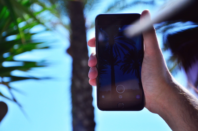 hand, photography themes, activity, 4K, phone, one person, focus on foreground, portable information device, outdoors, tree, photographing, holding, datum