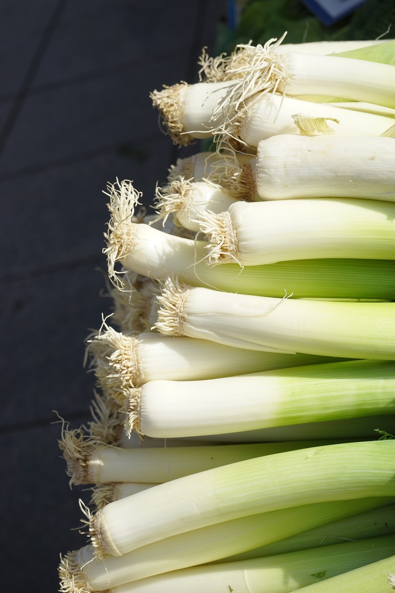 field garlic, raw food, green color, winter leek, allium porrum, stalk, spanish onion, close-up, meat onion, vegetarian food, table, indoors, vegetable