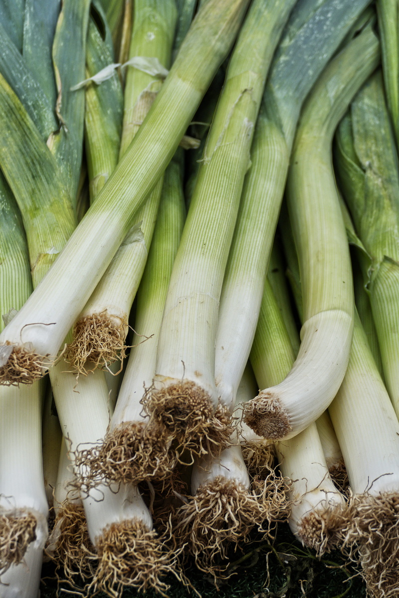 raw food, allium porrum, still life, wicked leeks, condiments, no people, food-photography, leek, spring onion, market, green color, vegetables, healthy