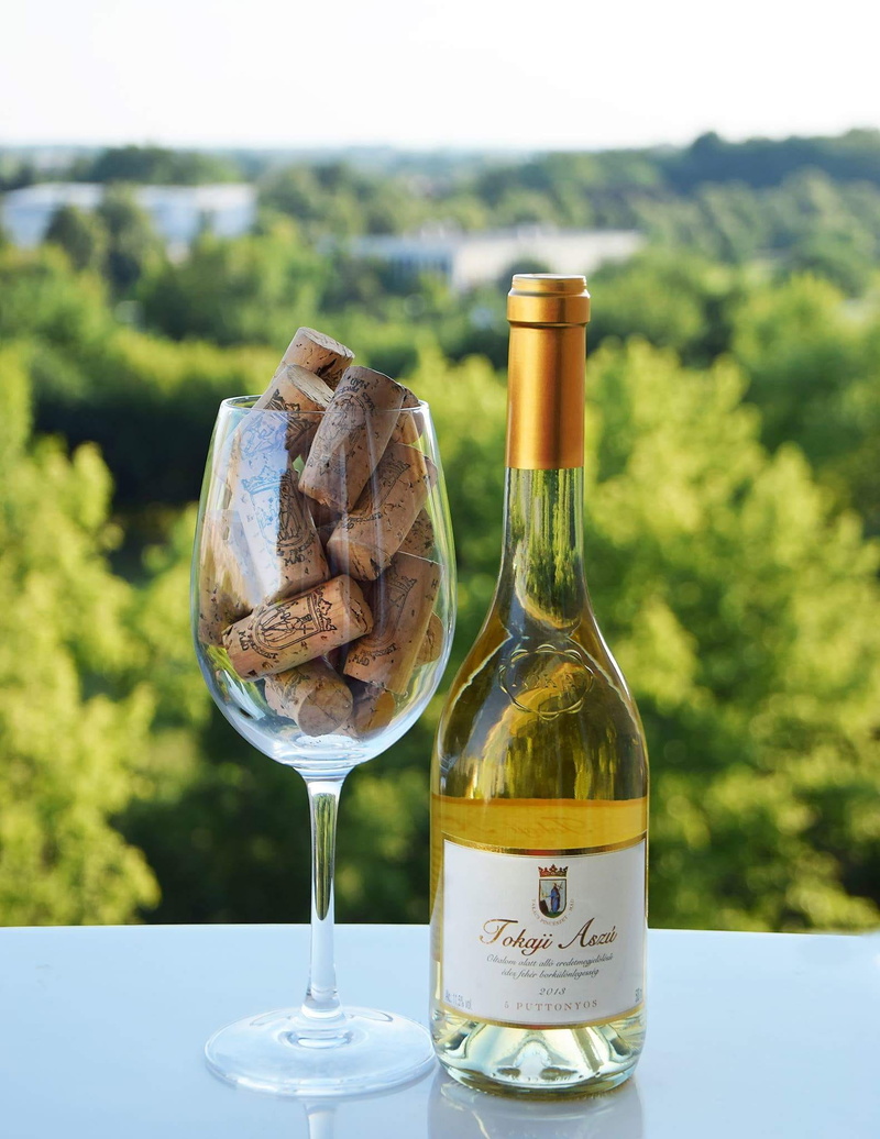 tree, red wine, table, clear, plant, winetasting, refreshment, winery, 1080P, Cork, White Wine, plugin, container, alcohol, food and drink, Vineyard, tokaji wine