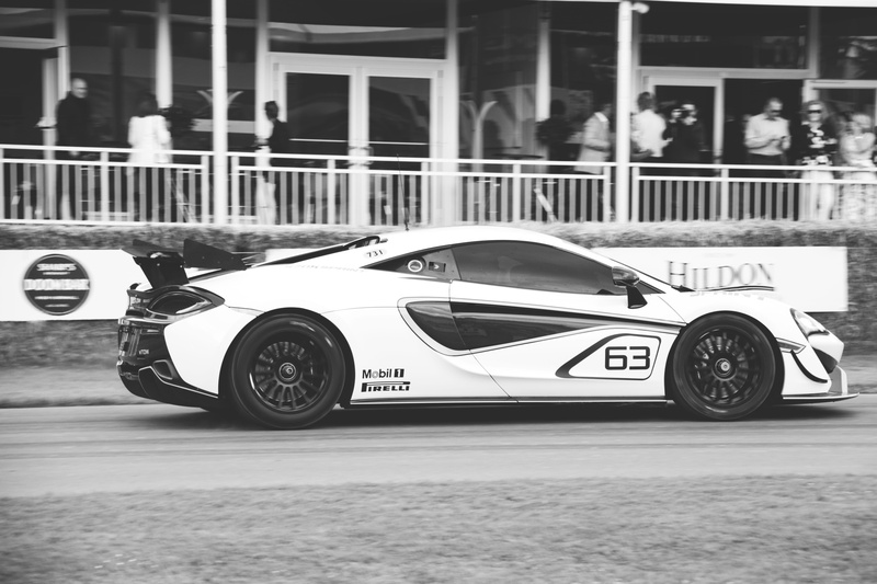 one person, outdoors, festival, fos, goodwoodfestivalofspeed, chichester, motorsport, wealth, united kingdom, hill, curcuit, racing, built structure, text