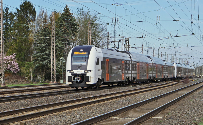 tree, regional train, land, track, mode of transportation, rhein-ruhr-express, electrical multiple unit, new, 4K, travel, sky, double unit, no people