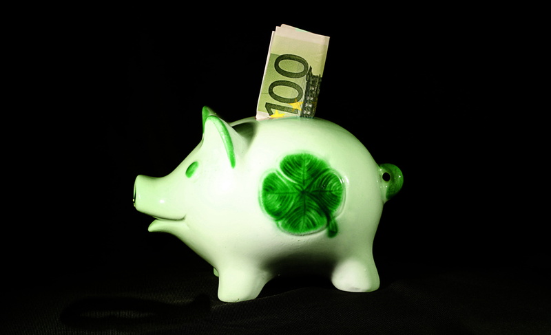 economy, seem, animal representation, studio shot, close-up, 100, green color, gift, dollar sign, bank note, black background, investment, single object