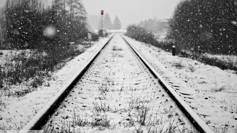 1080P, focus on foreground, tree, no people, vanishing point, railway, snow, snowing, nature, diminishing perspective, day, railroad track, winter, surface level