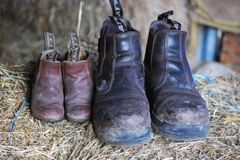 boots, safety, Sided, old, work boots, focus on foreground, leather, still life, protective workwear, Boots, Boots, rubber boot, dirt, adult boots, brown