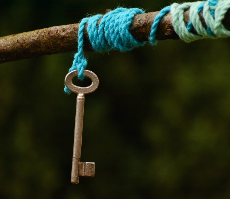 closed, symbol, safety, rope, close-up, nature, string, no people, lock, mystery, symbolism, security, connect, focus on foreground, outdoors, protection