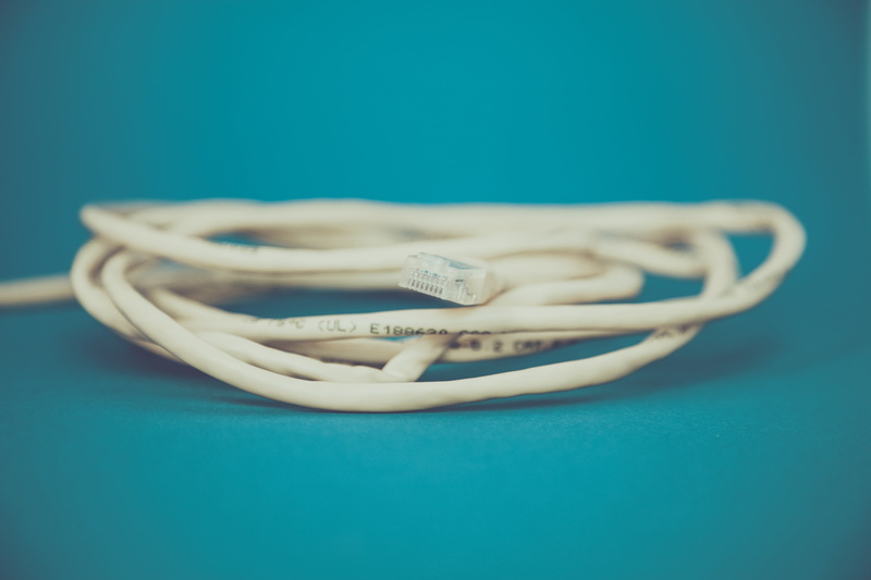 yellow, lan cable, cable, blue, fs, food, computer, network connector, lan, line, communication, network, still life, hardware, pc, blue background, studio shot