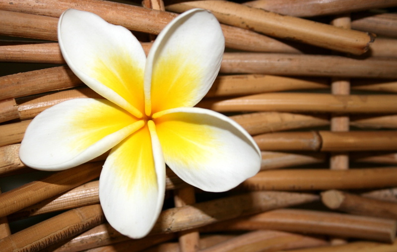 frangipani, spice, large group of objects, food, high angle view, food and drink, directly above, bamboo - Material, 2K, still life, leaf, aromatherapy