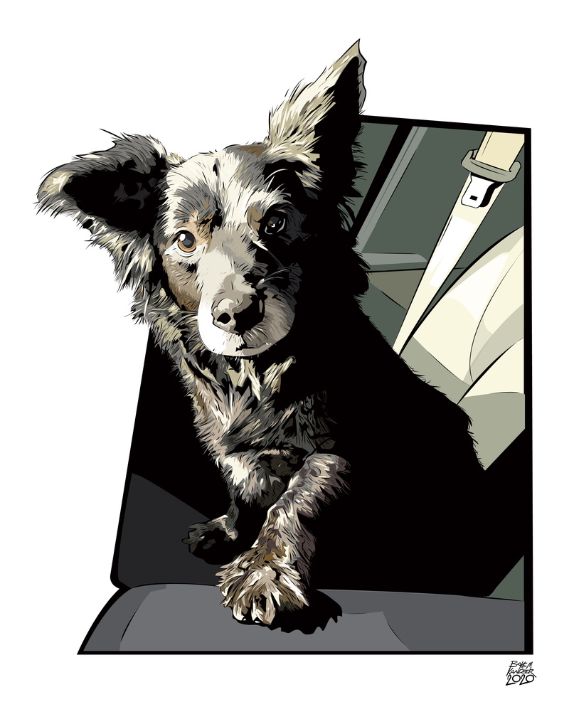 animals, Blake M. Kandzer, belt, digital painting, ArtStation, artwork, furry, portrait display, brown eyes, belt buckle, Seat, fan art, pet, white background