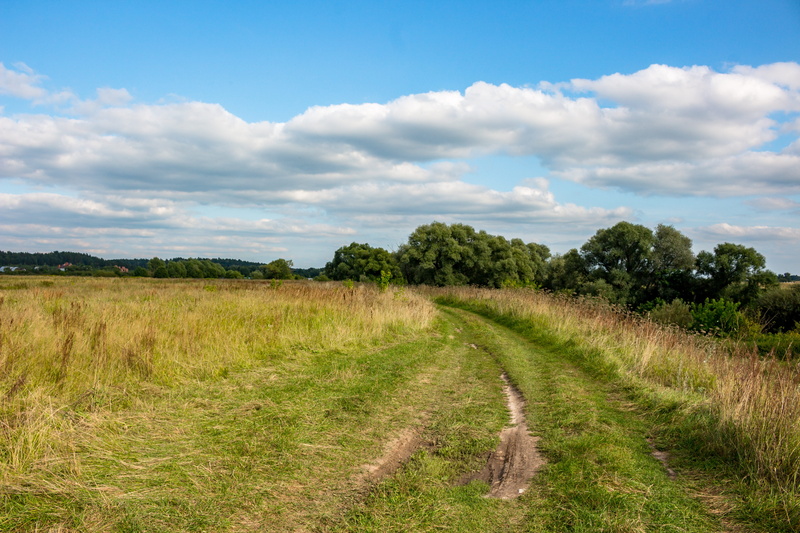 no people, dirt, green color, the roads, tranquility, july, road, outdoors, tranquil scene, summer, growth, bypass road, the way forward, dom, dirt road