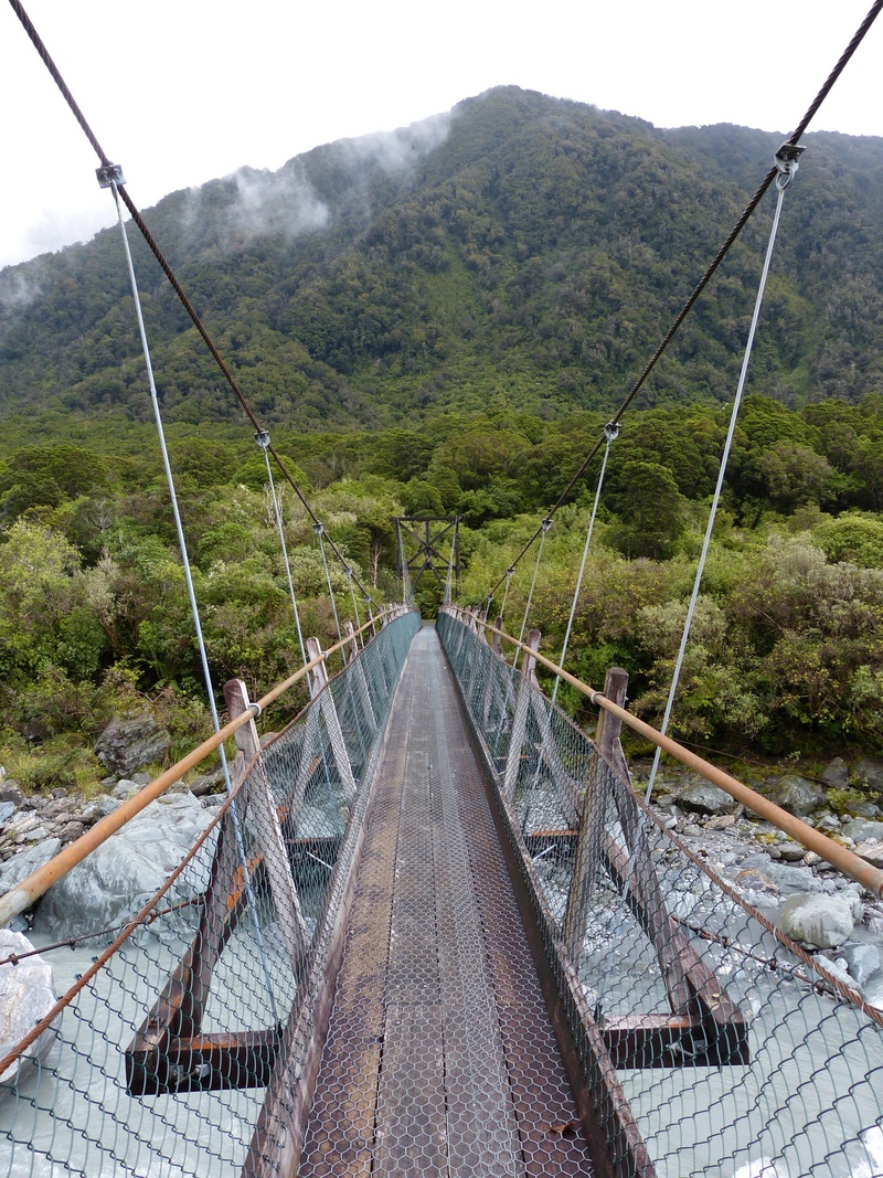 transportation, footbridge, metal, bypass, bridge - man made structure, destination, the way forward, steel, sightseeing, tree, travel, sky, high, environment