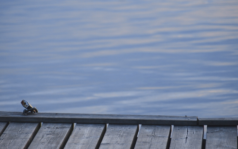 wharf, cloud - sky, animal themes, animal, vertebrate, lock, no people, railing, perching, bird, water, animals in the wild, wood - material, day, seagull