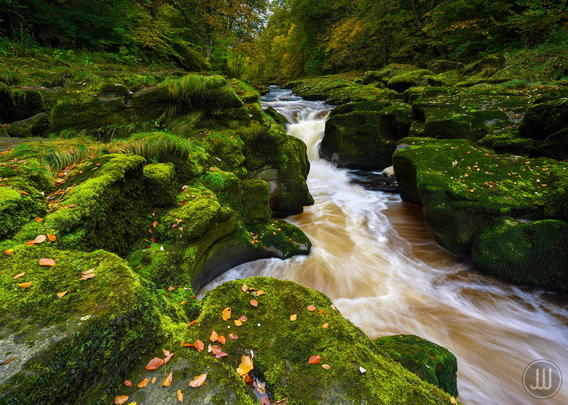 Boulders, Wharfedale, Bolton Abbey, Rocks, Overcast, Landscape, Orange, waterfall, Afternoon, River Wharfe, freshness, Outdoors, Strid, Leaves, Whitesmith