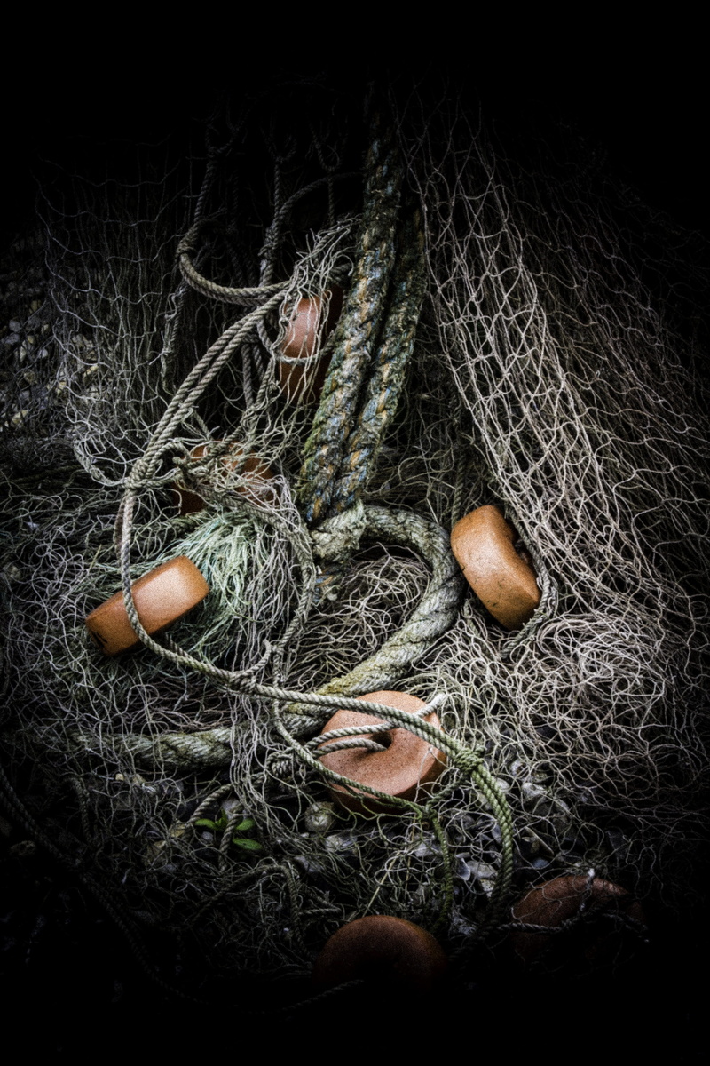 fish, food and drink, fishing, plant, animal egg, fisherman, egg, gray, 5K, photography, rope, animal nest, fishing industry, nature, catch, day, sea