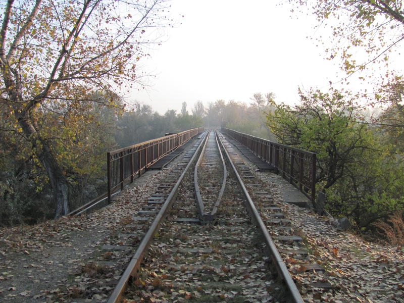 change, parallel, the way, connection, rail transportation, no people, transportation, direction, growth, nature, autumn, outdoors, fog, tree, rail, sleepers