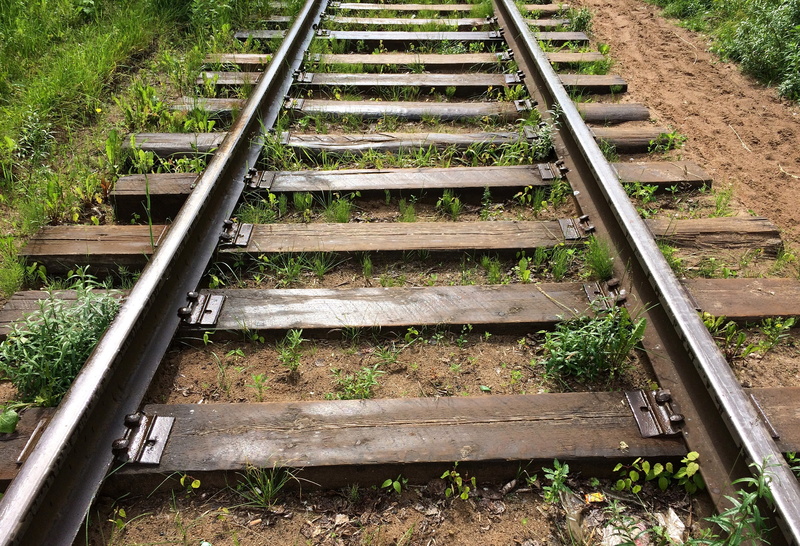 Railway, sunlight, Rails, no people, grass, metal, the way, day, straight, plant, public transportation, agriculture, railroad track, parallel, track, nature