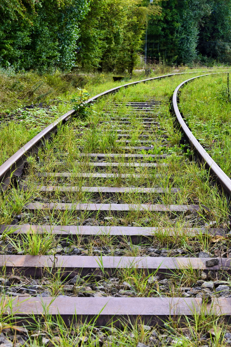 stones, green, tranquility, growth, land, grass, the way forward, plant, curve, deciduous tree, beauty in nature, tree, track, gleise, railway tracks, meadow