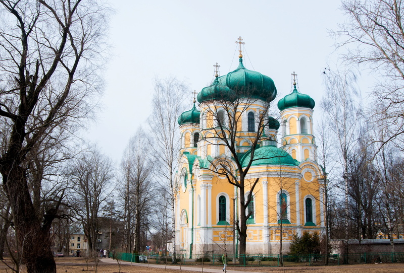 city, tree, church, golden dome, beautiful temples, belief, religious, showplace, outdoors, temple, gatchina, dome, dome of the cathedral, history, day
