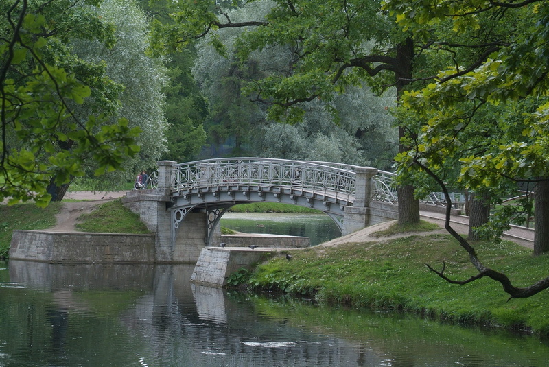 tree, connection, built structure, arch bridge, growth, bridge - man made structure, day, water, footbridge, the suburbs of st petersburg, bridge, forest