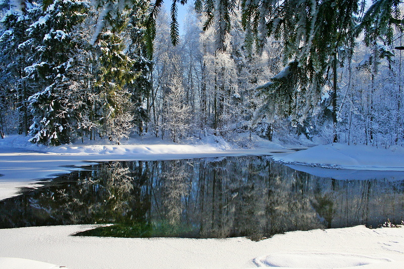 snowflakes, day, frozen, tranquility, ice, rime, tranquil scene, leann, 2K, beauty in nature, scenics - nature, cold temperature, stroll, sun, land, reflection