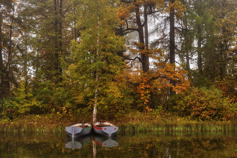 the reeds, Saint Petersburg, Russia, Gatchina, Park, boats, 2K, trees, autumn, fog, pond