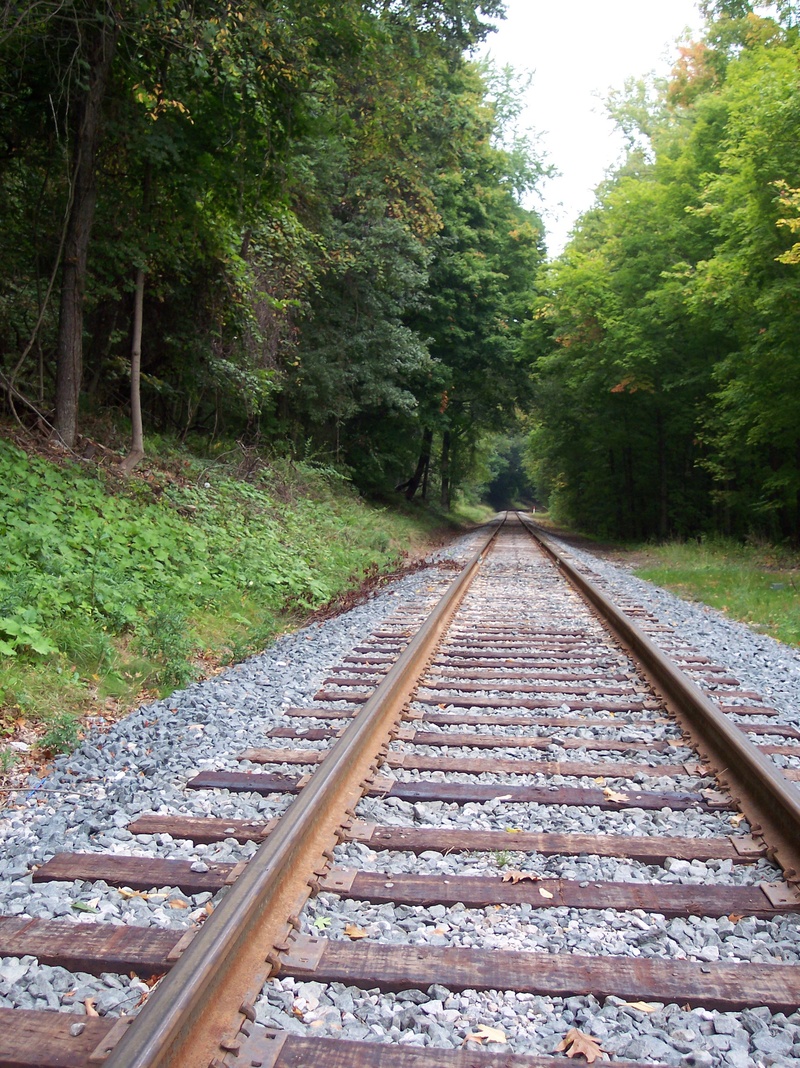 speed, transit, beauty in nature, green color, railroad track, track, growth, move, the way forward, tranquility, outdoors, freight, diminishing perspective