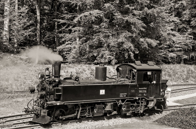 rail traffic, train - vehicle, metal, führerstand, land, field, train, heat, saxony-anhalt, transport, steam locomotive, monochrome, nostalgic, historically