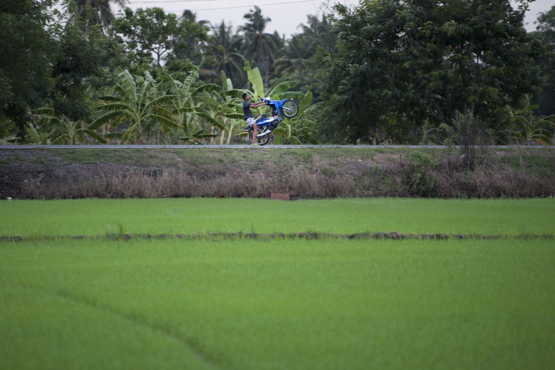 activity, extreme, one person, day, field, growth, nature, kids, grass, real people, adventure, land, men, safety, green, lifestyles, ride, tree, unsafe