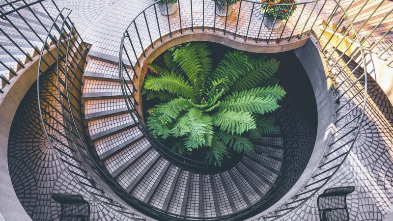day, growth, leaf, green color, pattern, architecture, no people, nature, 1080P, building exterior, circular, built structure, plant, staircase, plant part