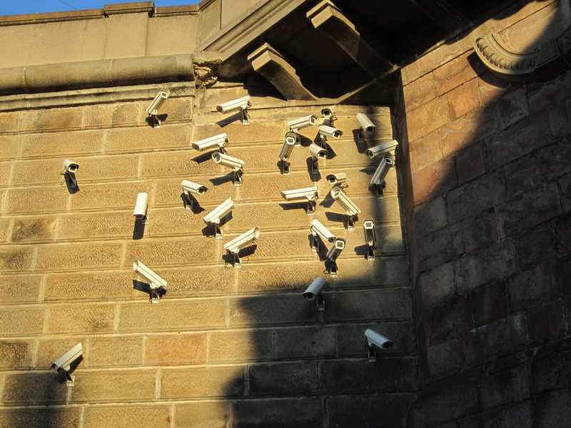 low angle view, large group of objects, czech, 4K, wall, day, bird, architecture, wall - building feature, building, sunlight, in a row, security cameras