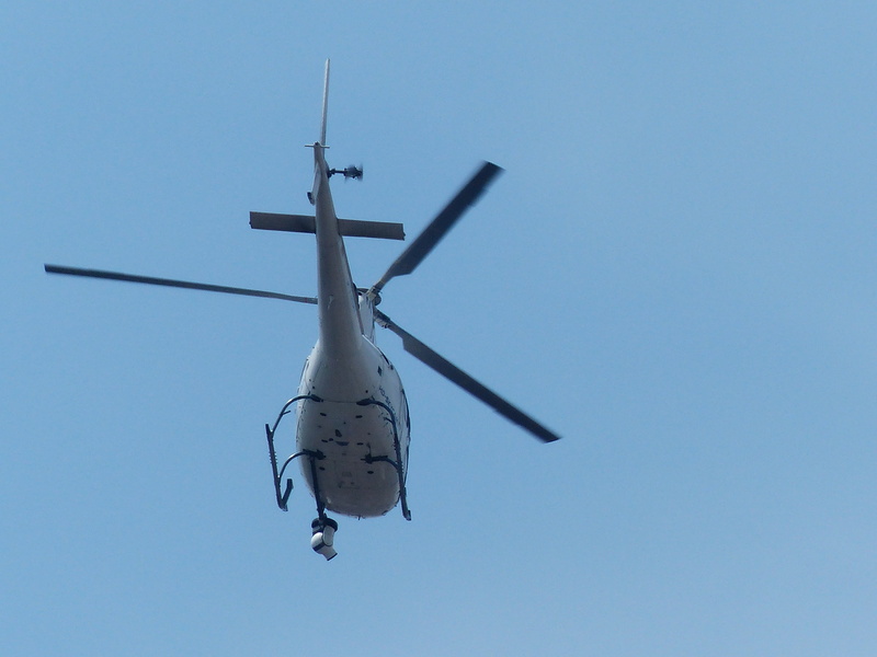 search, commercial Airplane, air monitoring, security, air force, forces, camera, nsa, sky, no people, mid-air, personal protection, transportation, air