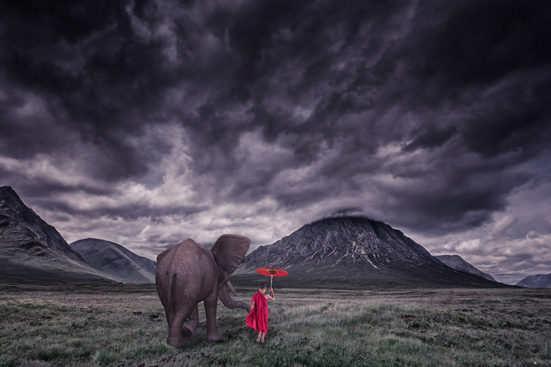 land, field, outdoors, rain, storm, cloud - sky, mountain, thunderstorm, painting, friendship, elephant, ominous, further away, overcast, monk, ash, nature