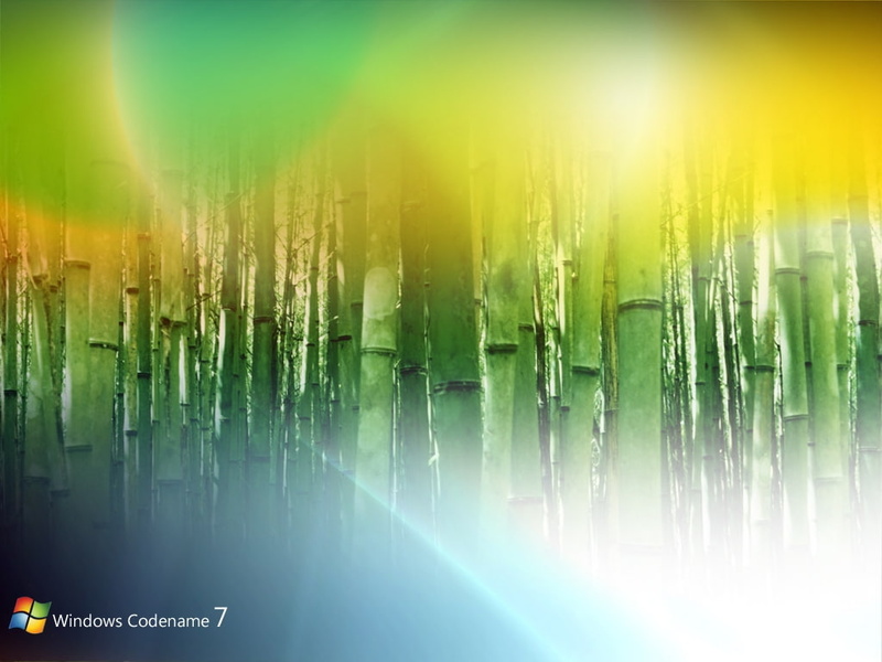 bamboos, 480P, Green, hd, windows, art, bamboo, Windows 7, technology
