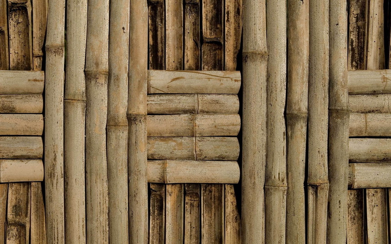 wood grain, full frame, day, nets, architecture, woven, wood - Material, pattern, asia, material, outdoors, bamboo - Plant, tree, japan, abstract, close-up