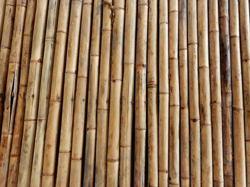 bamboo cane, Bamboo, bamboo - material, side by side, bamboo wood, brown, no people, 4K, pattern, abundance, backgrounds, bamboo - plant, wood - material