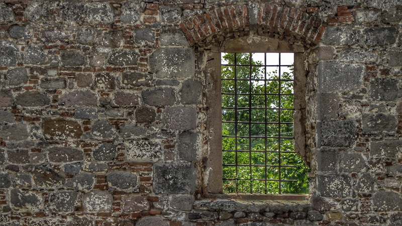 plant, the past, forest, building exterior, nobody, detail shots, outdoors, architecture, deterioration, nature, nostalgia, landscape, old ruin, old, damaged