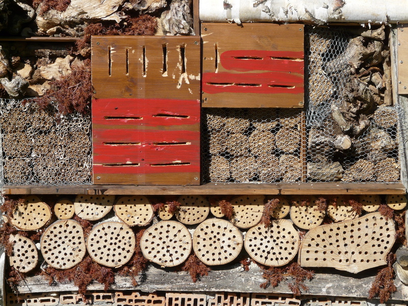 clay, arrangement, insect box, no people, wood wool, insect asylum, wood - material, school biology, straw, board, wooden, terracotta flower pots, insect hotel