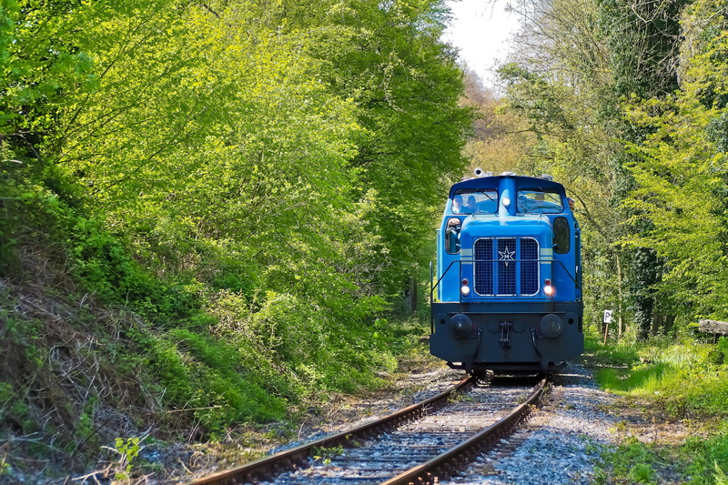 railroad track, public transportation, tree, train, railway line, 4K, train - vehicle, old locomotive, day, transportation, land vehicle, diesel locomotive