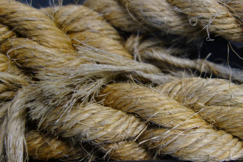 animal hair, textile, nature, close-up, day, livestock, wool, hemp rope, 2K, knot, close up, large group of objects, still life, full frame, softness